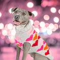 Load image into Gallery viewer, Puppy Love Dog Sweater

