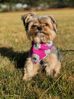 Purple Anemone Bandana