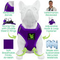 Load image into Gallery viewer, EcoBark Step In Dog Harness - XXXS to Small Breeds- Reflective Soft Mesh Harness for Teacup, Small Dogs and Puppies / Purple

