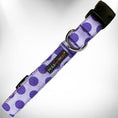 Load image into Gallery viewer, Polka Dot Dog Collars, Leads, and Bows - Monotone - 6 Styles
