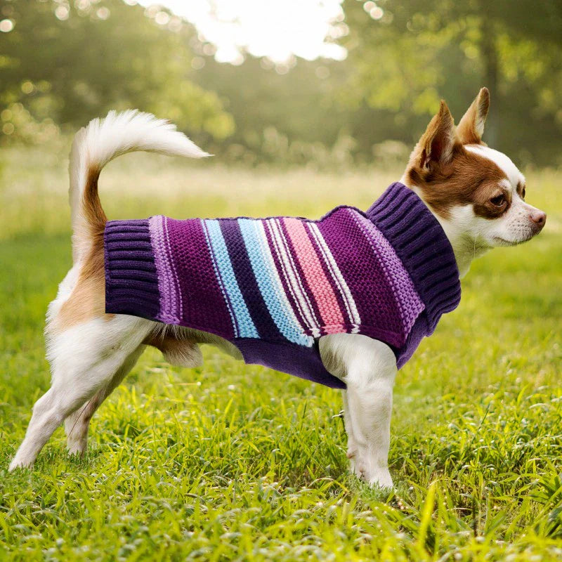 Purple Stripe Dog Sweater
