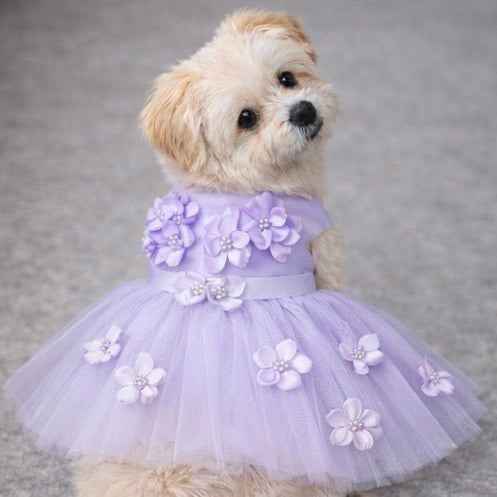 Purple Ceremony Dress