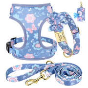 4pc Floral Daisy Dog Collar Harness Leash & Poo Bag Set | Personalized Free
