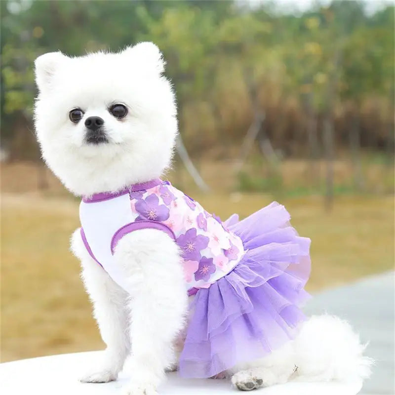 Floral Lace Chiffon Dog Tutu Dress