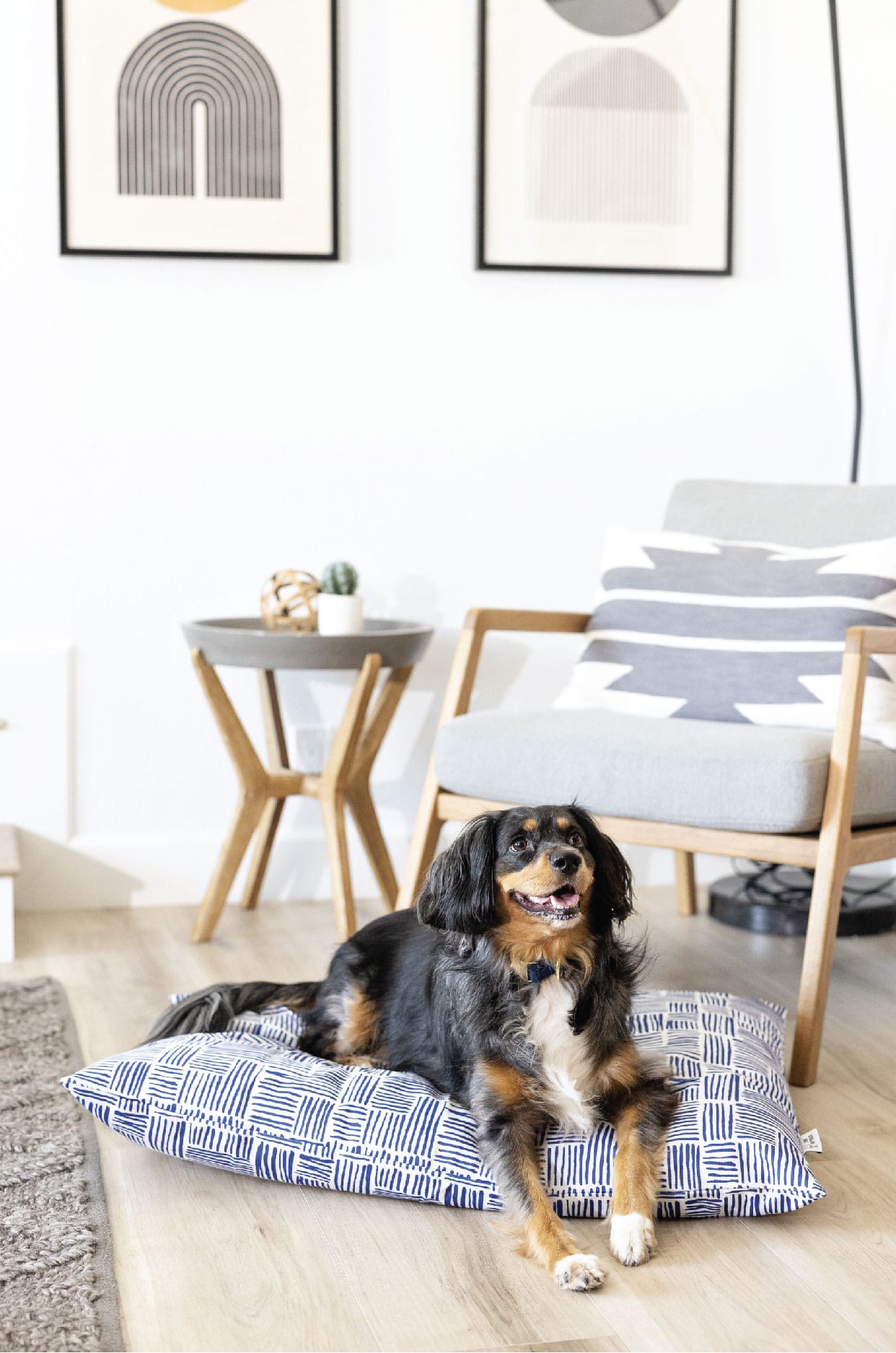 Quinn Dog Bed