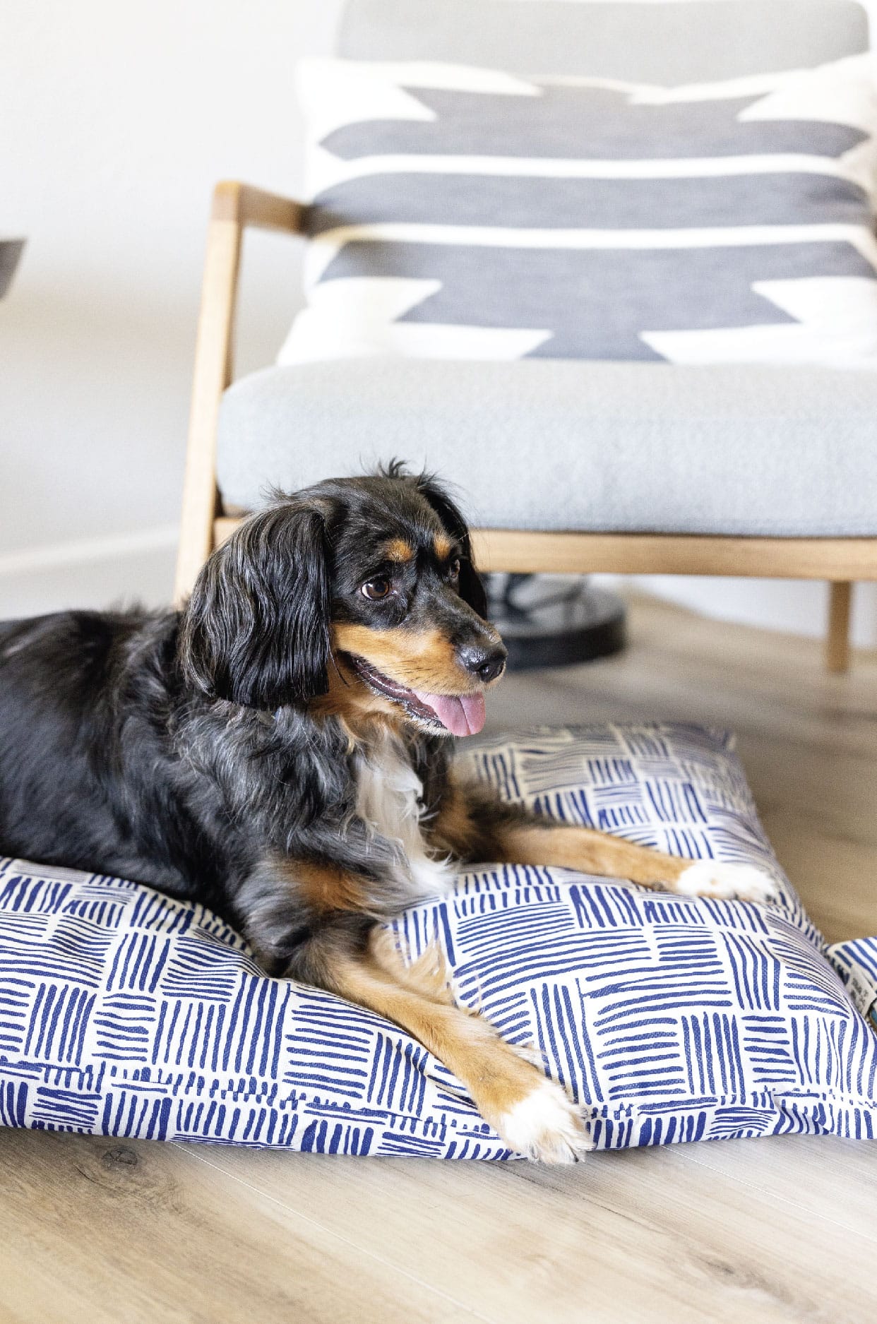 Quinn Dog Bed