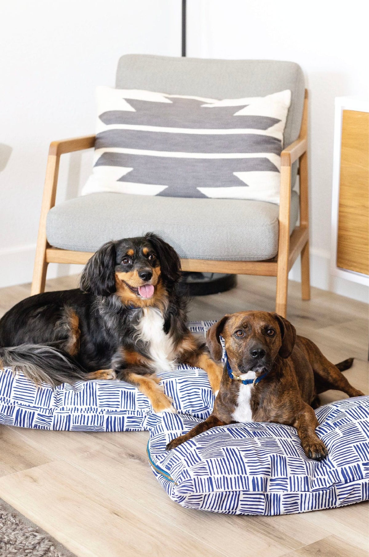 Quinn Dog Bed