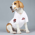 Load image into Gallery viewer, MLB Atlanta Braves Ronald Acuna Jr. Mesh Dog Jersey

