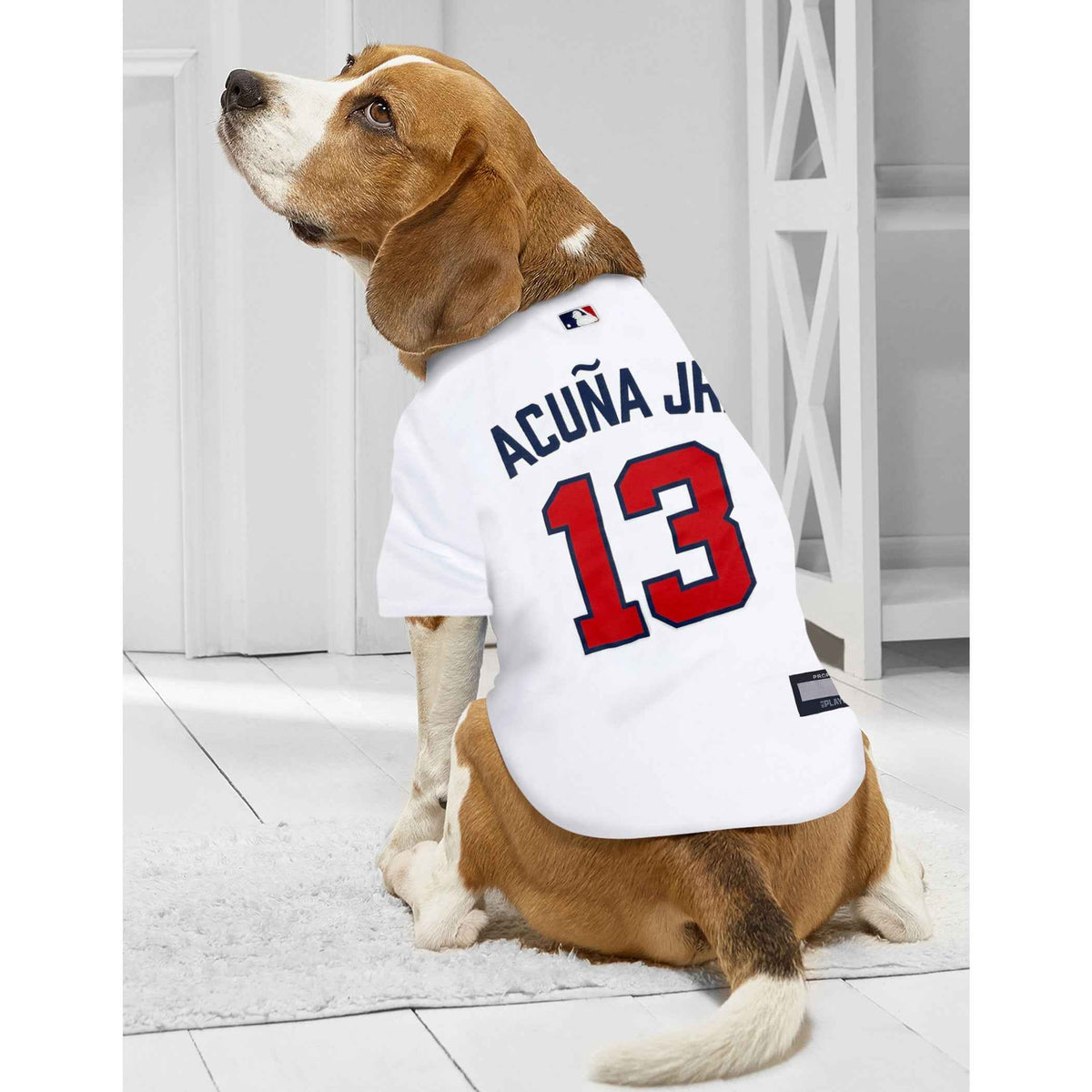 MLB Atlanta Braves Ronald Acuna Jr. Mesh Dog Jersey