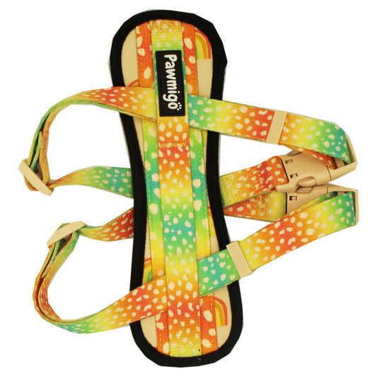 Chasing Rainbows X-Fit Harness - Southlake Paws