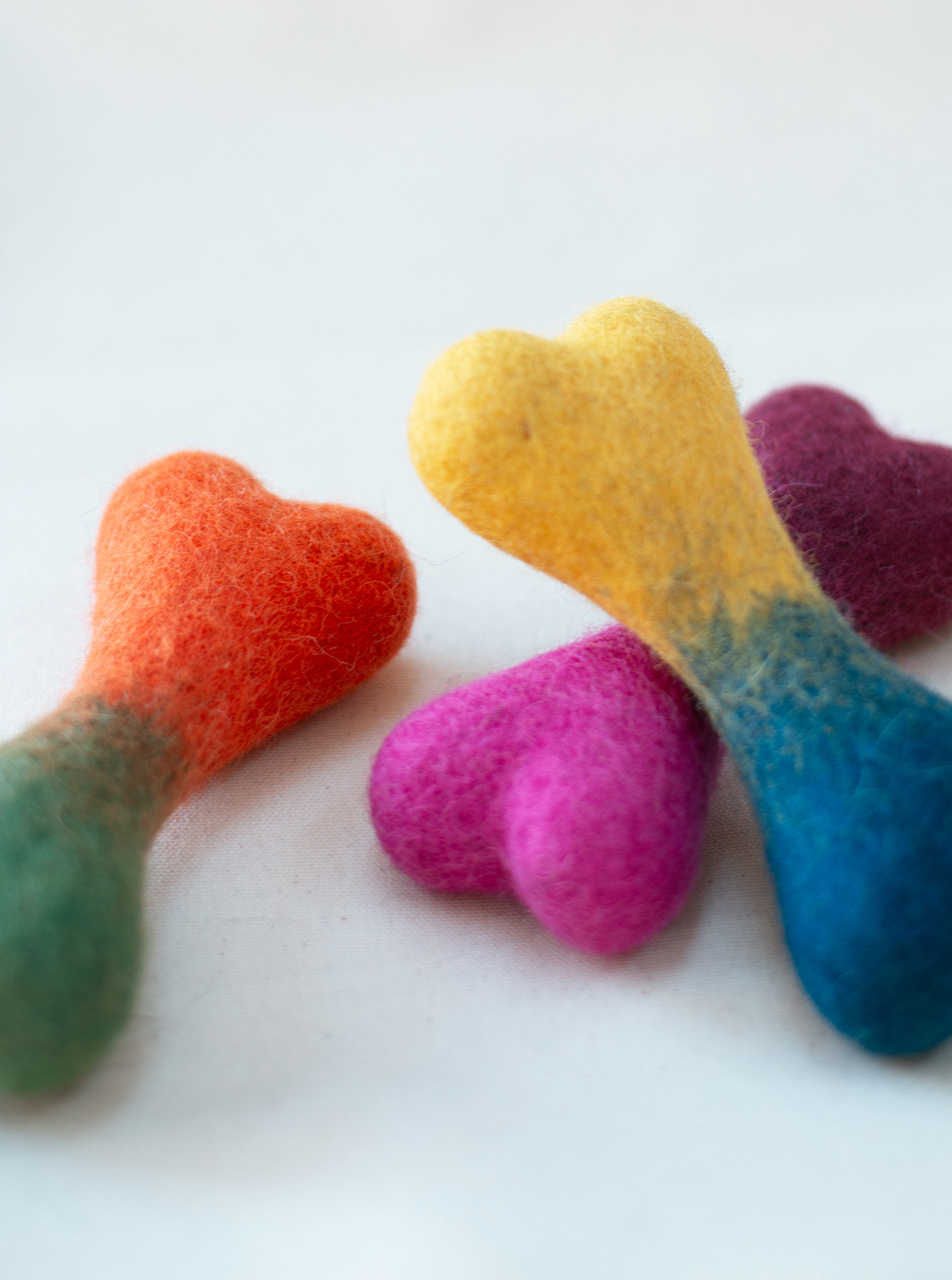 OMBRE WOOLBONE - Southlake Paws