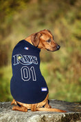 Load image into Gallery viewer, MLB Tampa Bay Rays Mesh Dog Jersey
