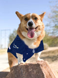 Load image into Gallery viewer, MLB Tampa Bay Rays Mesh Dog Jersey
