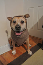 Monkey Hoodie Dog Sweater