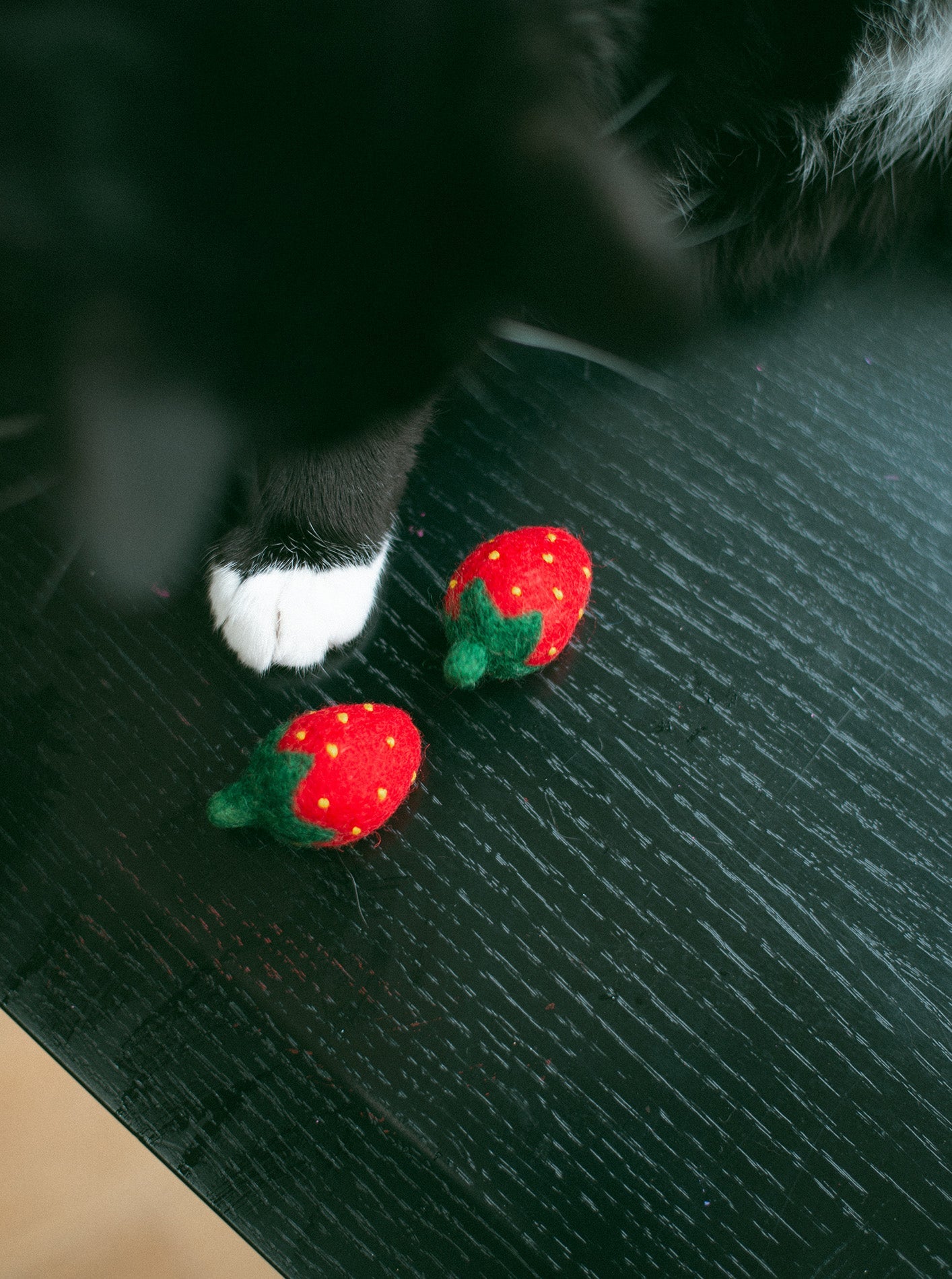 KITTY STRAWBERRIES - Southlake Paws