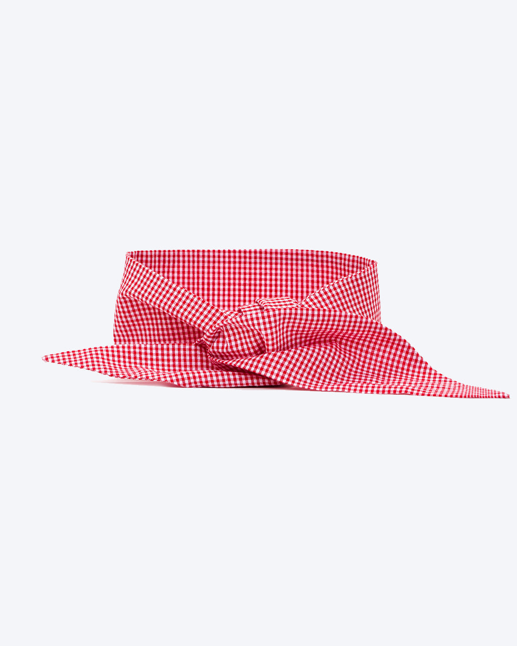 CLASSIC NECKTIE - Southlake Paws