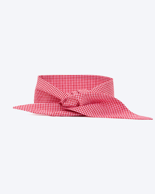 CLASSIC NECKTIE - Southlake Paws