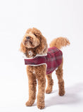 Load image into Gallery viewer, CORDUROY CLASSIC PET COAT
