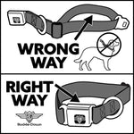 Dog Bone Seatbelt Buckle Collar - TJ-Fairy Nail Biter