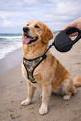 Load image into Gallery viewer, Parisian Pet 'Retractable Leash M' for Dogs & Cats – Stylish 16-Foot Retractable Dog Leash with Ergonomic Handle, Black
