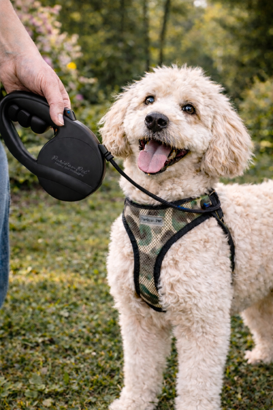 Parisian Pet 'Retractable Leash M' for Dogs & Cats – Stylish 16-Foot Retractable Dog Leash with Ergonomic Handle, Black