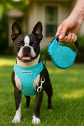 Load image into Gallery viewer, Parisian Pet 'Crystal Retractable Leash Blue' for Dogs & Cats – Durable Retractable Pet Leash with Comfortable Grip
