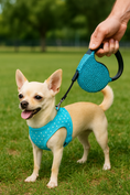 Load image into Gallery viewer, Parisian Pet 'Crystal Retractable Leash Blue' for Dogs & Cats – Durable Retractable Pet Leash with Comfortable Grip
