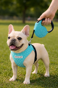 Load image into Gallery viewer, Parisian Pet 'Crystal Retractable Leash Blue' for Dogs & Cats – Durable Retractable Pet Leash with Comfortable Grip
