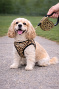 Load image into Gallery viewer, Parisian Pet 'Crystal Retractable Leash Leopard' for Dogs & Cats – Strong, Stylish Leash for Small Dogs, 16-Foot Length
