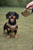 Load image into Gallery viewer, Parisian Pet 'Crystal Retractable Leash Leopard' for Dogs & Cats – Strong, Stylish Leash for Small Dogs, 16-Foot Length
