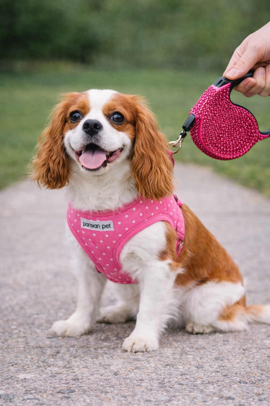 Parisian Pet 'Crystal Retractable Leash Dark Pink' for Dogs & Cats – Durable, Stylish 16-Foot Leash with Ergonomic Handle