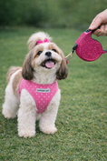 Load image into Gallery viewer, Parisian Pet 'Crystal Retractable Leash Dark Pink' for Dogs & Cats – Durable, Stylish 16-Foot Leash with Ergonomic Handle
