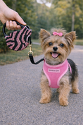 Load image into Gallery viewer, Parisian Pet 'Crystal Retractable Leash Zebra Pink' for Dogs & Cats – 16-Foot Retractable Leash with Zebra Print
