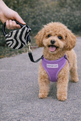 Load image into Gallery viewer, Parisian Pet 'Crystal Retractable Leash Zebra Silver' for Dogs & Cats – Durable, High-Quality Silver Pet Leash with Ergonomic Handle
