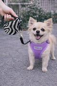 Load image into Gallery viewer, Parisian Pet 'Crystal Retractable Leash Zebra Silver' for Dogs & Cats – Durable, High-Quality Silver Pet Leash with Ergonomic Handle

