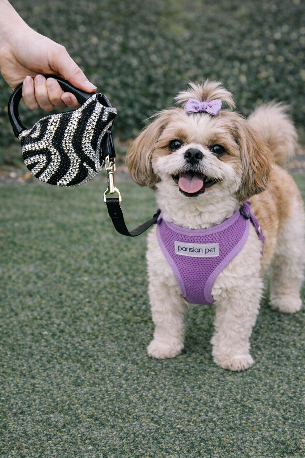 Parisian Pet 'Crystal Retractable Leash Zebra Silver' for Dogs & Cats – Durable, High-Quality Silver Pet Leash with Ergonomic Handle