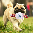 Load image into Gallery viewer, Colorado Rockies Nylon Baseball Rope Toy
