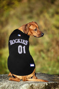 Load image into Gallery viewer, MLB Colorado Rockies Mesh Dog Jersey
