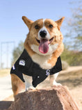 Load image into Gallery viewer, MLB Colorado Rockies Mesh Dog Jersey
