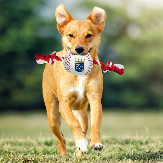 Kansas City Royals Nylon Baseball Rope Toy