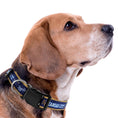 Load image into Gallery viewer, Kansas City Royals Satin Collar
