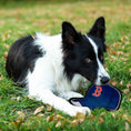 Load image into Gallery viewer, Boston Red Sox Baseball Cap Tough Toy
