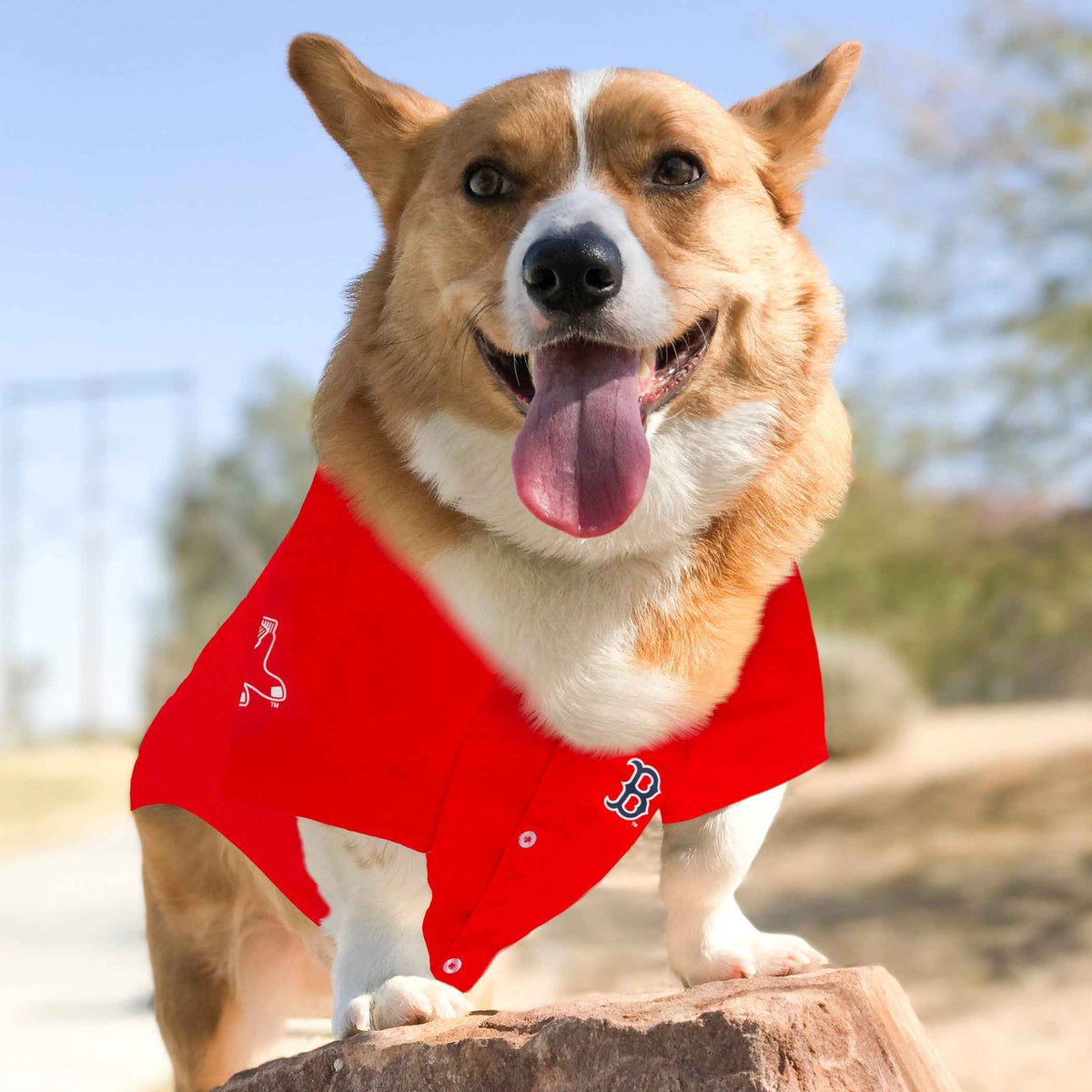 MLB Boston Red Sox Mesh Dog Jersey