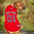 Load image into Gallery viewer, Boston Red Sox MLB Dog Jersey - Official Baseball Pet Fan Apparel
