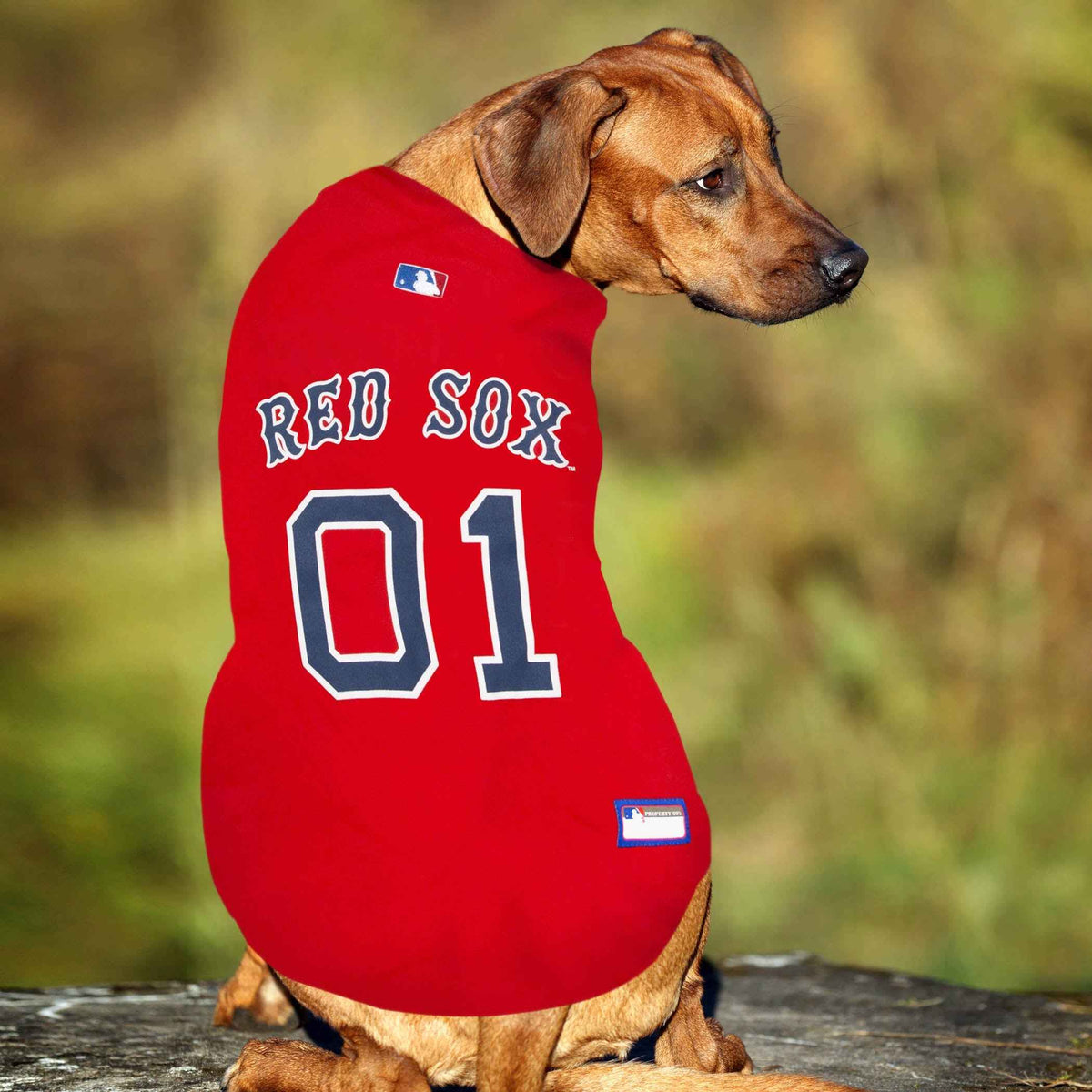 MLB Boston Red Sox Mesh Dog Jersey