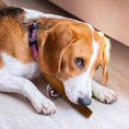 Load image into Gallery viewer, John Deere Bully Stick Dog Chew (Individually Sold)
