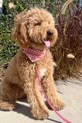 Load image into Gallery viewer, GINGHAM BANDANA
