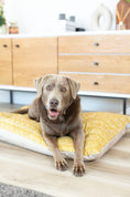 Load image into Gallery viewer, Rafa Dog Bed
