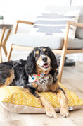 Load image into Gallery viewer, Rafa Dog Bed
