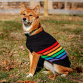 Load image into Gallery viewer, Rainbones Sweater
